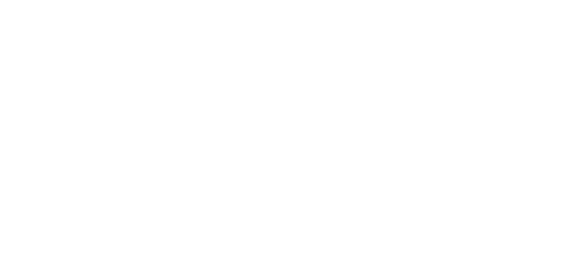 CAE logo in white